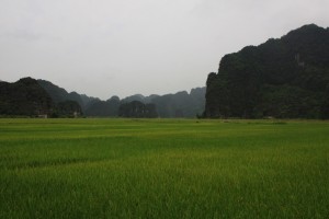 Voici le décor : rizières et pics rocheux. Ne manquait que le ciel bleu…