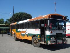 Cariari - Bus
