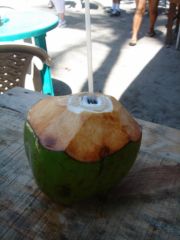 Manuel Antonio - Pipa