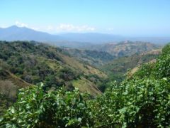 Sur la route entre Manuel Antonio et Alajuela